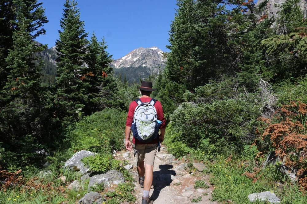 Hiker with a backpack walking a rocky trail through pine trees toward a mountain peak