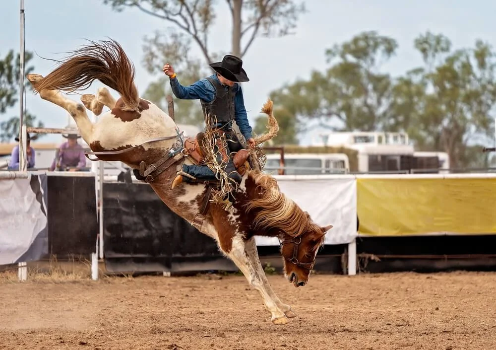 Bronc Rider