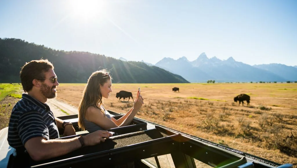 Safari tour Tetons