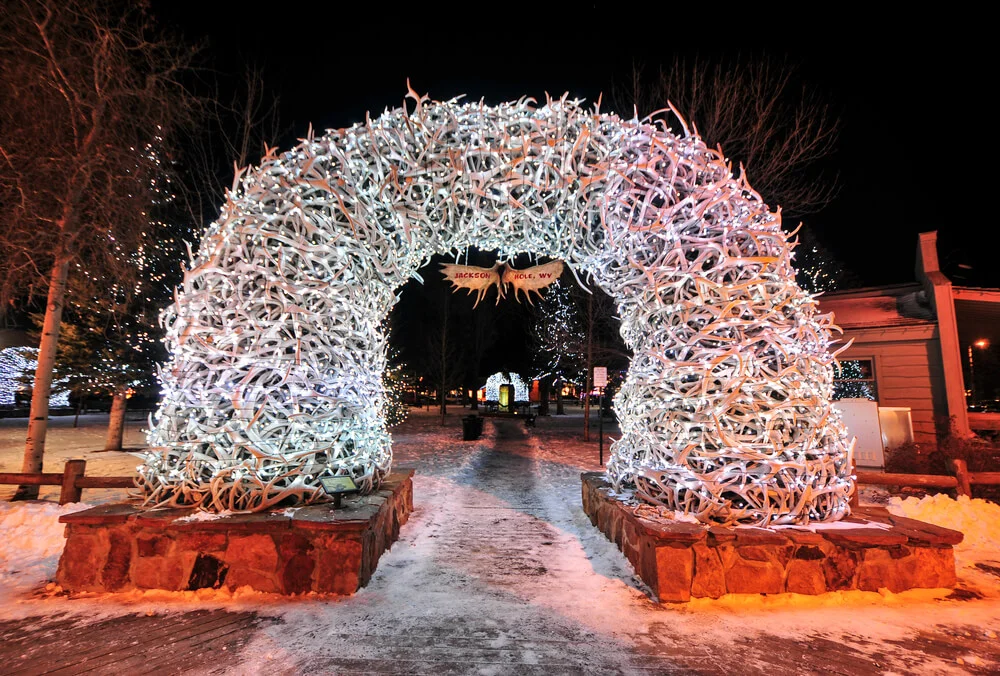 Antler Arch with lights