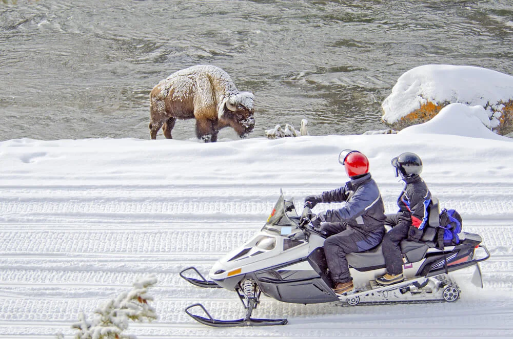 Snowmobiles on snow