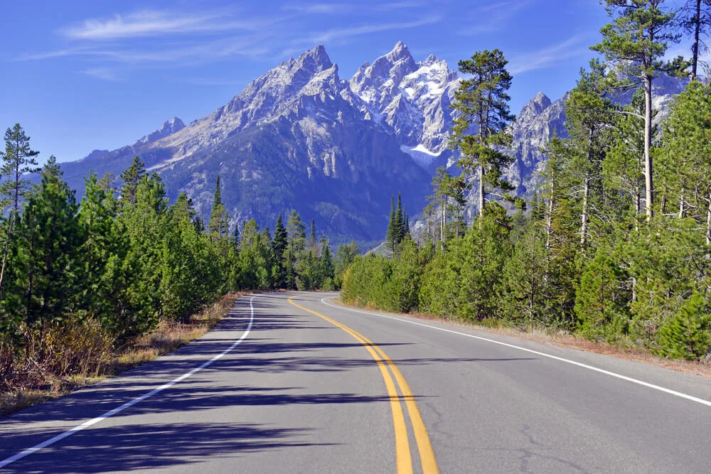 Winding road through a pine forest toward the rugged peaks of the Teton Range